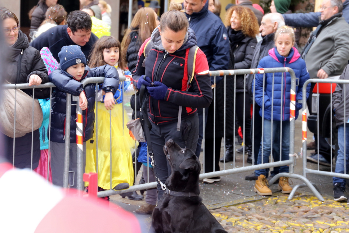 Carnevale 2016_176.JPG